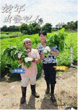 纪实观察综艺周末不打烊海报
